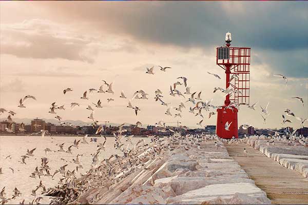 Rimini in inverno: il mare
