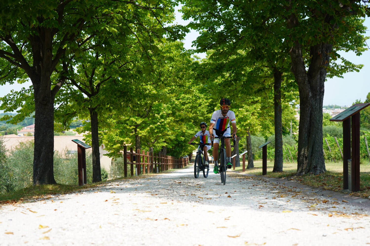Percorsi Bike Rimini