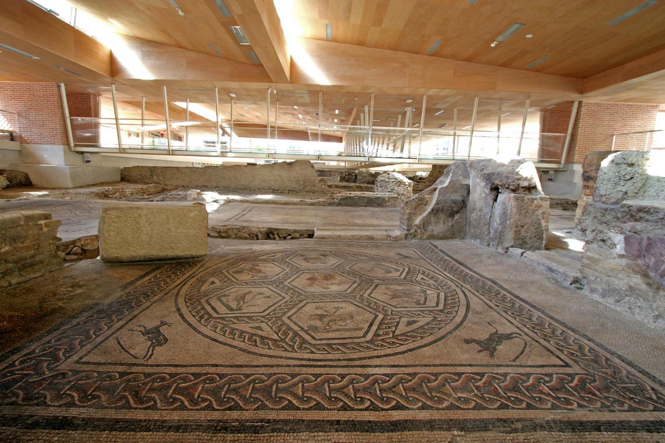 Una delle cose da vedere a Rimini è la Domus del Chirurgo. La domus del chirurgo è un'abitazione di epoca romana che risale alla seconda metà del II secolo. È stata scoperta di recente nel 1989 in piazza Luigi Ferrari a Rimini ed è ora aperta al pubblico. È molto interessante da vedere perché sono stati rinvenuti strumenti chirurgici di quell'epoca, conservati al Museo della città di Rimini. Visita la Domus Pasqua 2022 Rimini