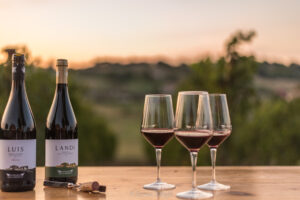 Il Podere dell'Angelo